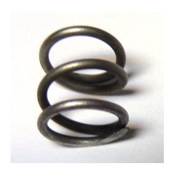 20B175 Indian Prince Exhaust valve relief cam spring