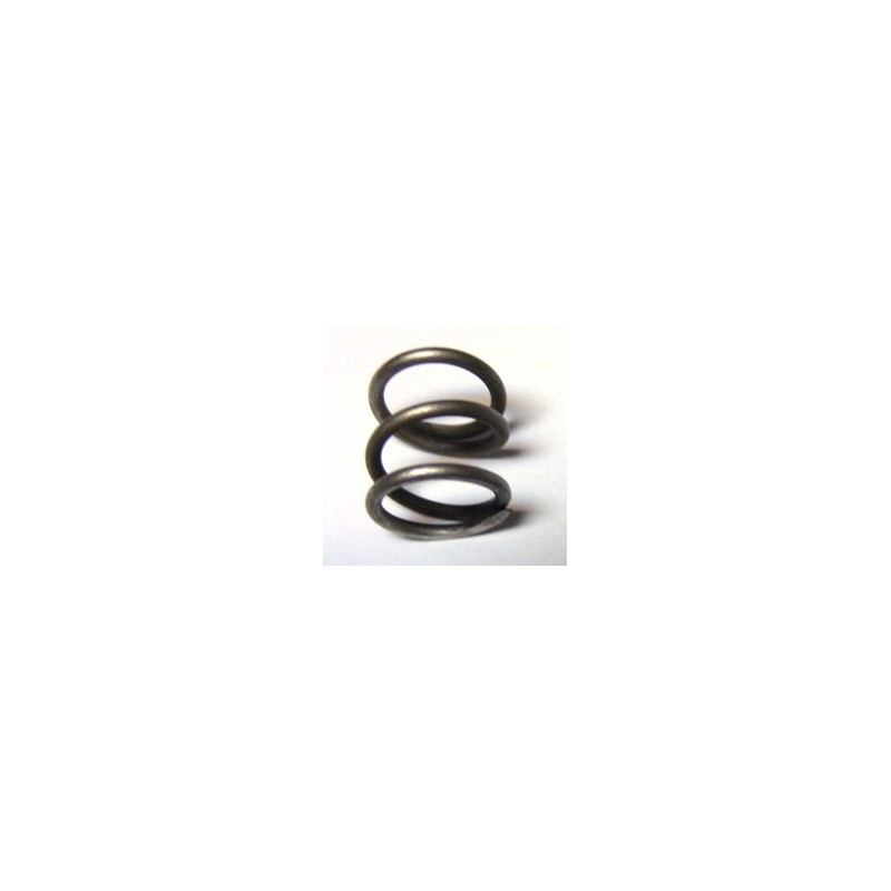 20B175 Indian Prince Exhaust valve relief cam spring